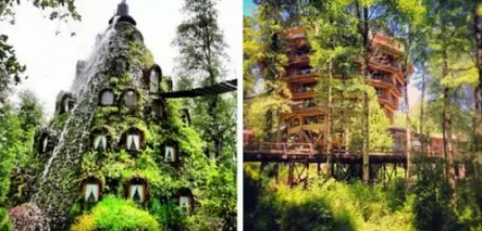 智利● Huilo Huilo魔术山旅馆