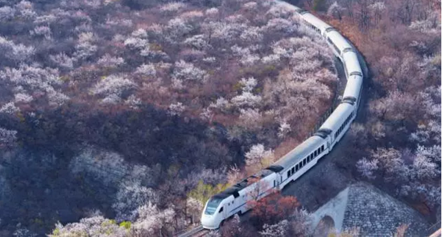 昌平全域旅游